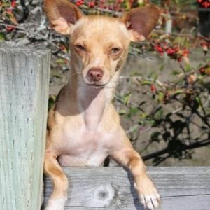 Meet your Posher, Jennifer